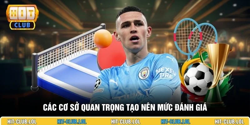 Các cơ sở quan trọng tạo nên mức đánh giá
